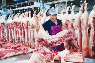 Người Việt đang phải dùng thịt gia súc, gia cầm đắt nhất thế giới